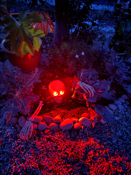 Light-Up Skull & Skeleton Arms Halloween Garden Set – 3 Pieces