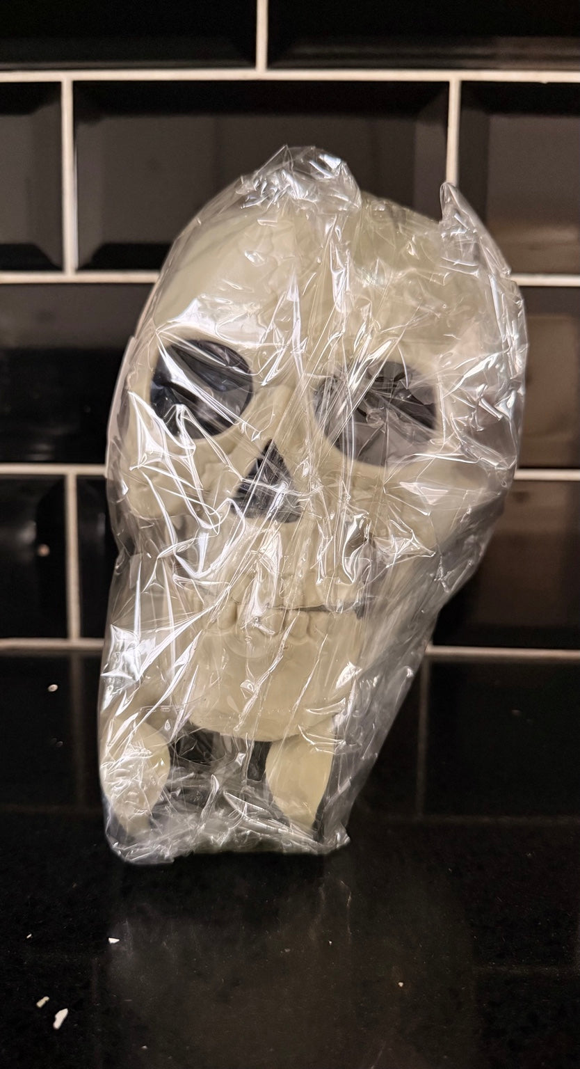 Packaged skull from the three-piece Halloween garden decoration set